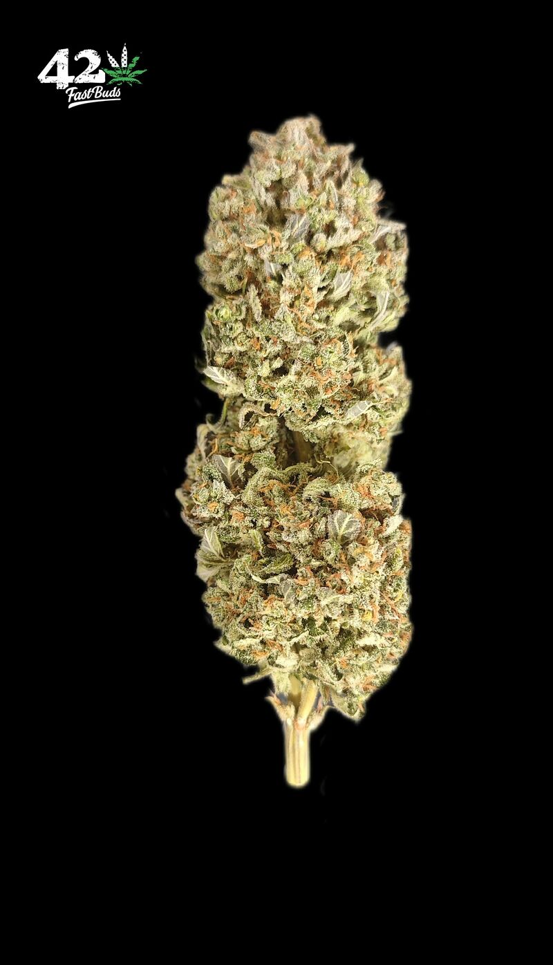 Sour Jealousy Auto, Фасовка: 3, изображение 14